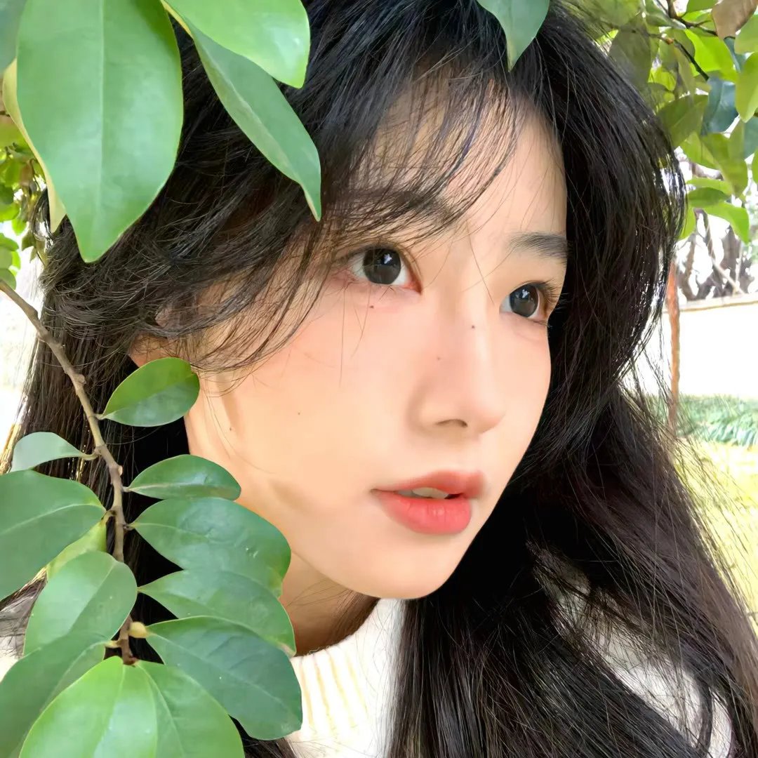 野妈妈